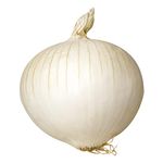 Cebola-branca-Albina-Zaffari-00