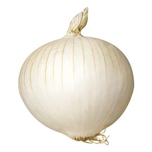 Cebola-branca Albina