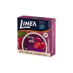 Gelatina-de-Uva-sem-Acucar-Linea-10g-Zaffari-02