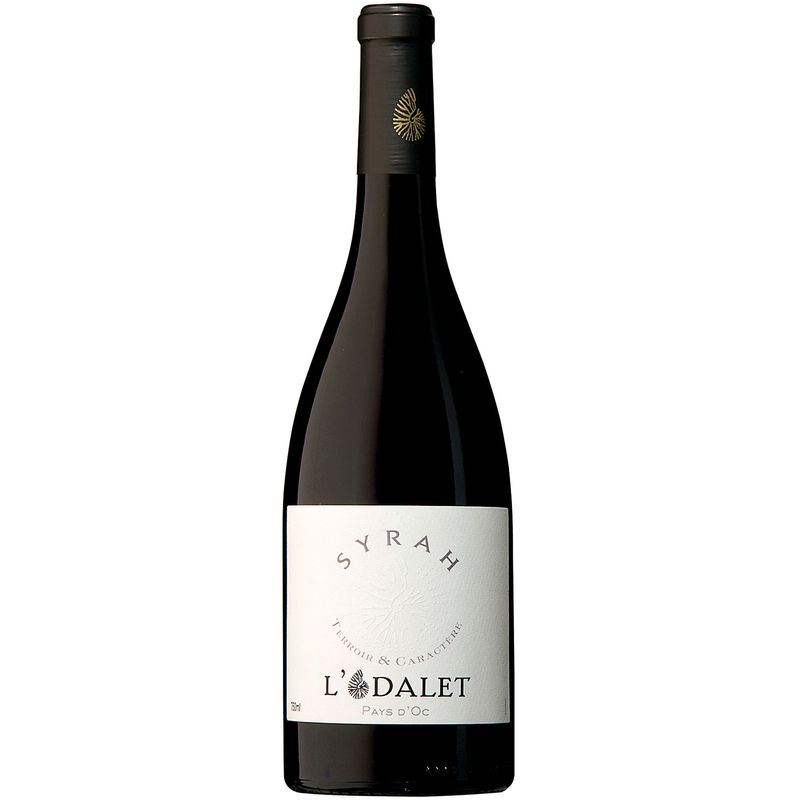 L-Odalet-Syrah-Frances-Vinho-Tinto-750ml-Zaffari-00