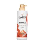 Shampoo-Pantene-Pro-V-Biotinamina-B3-Antiqueda-510ml-Zaffari-00