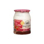 Iogurte-Integral-com-Geleia-de-Frutas-Vermelhas-sem-Adicao-de-Acucar-Fazenda-Trevisan-170g-Zaffari-00