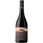 Olvidada-de-Aragon-Garnacha-Espanhol-Vinho-Tinto-750ml-Zaffari-00