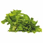 Rucula-Hidroponica-Zaffari-00
