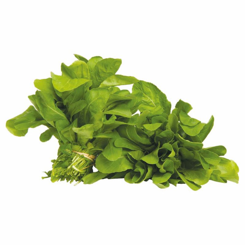 Rucula-Hidroponica-Zaffari-00