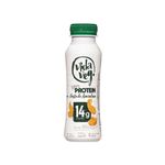 Iogurte-de-Pasta-de-Amendoim-VegProtein-14g-100--Vegetal-Vida-Veg-250g-Zaffari-00