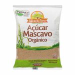Acucar-Mascavo-Organico-Saude-da-Terra-400g-Zaffari-00