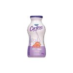 Iogurte-de-Morango-Zero-Lactose-Corpus-Danone-170g-Zaffari-00