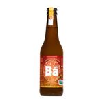 Kombucha-Organica-com-Manga-e-Gengibre-Ba-355ml-Zaffari-00