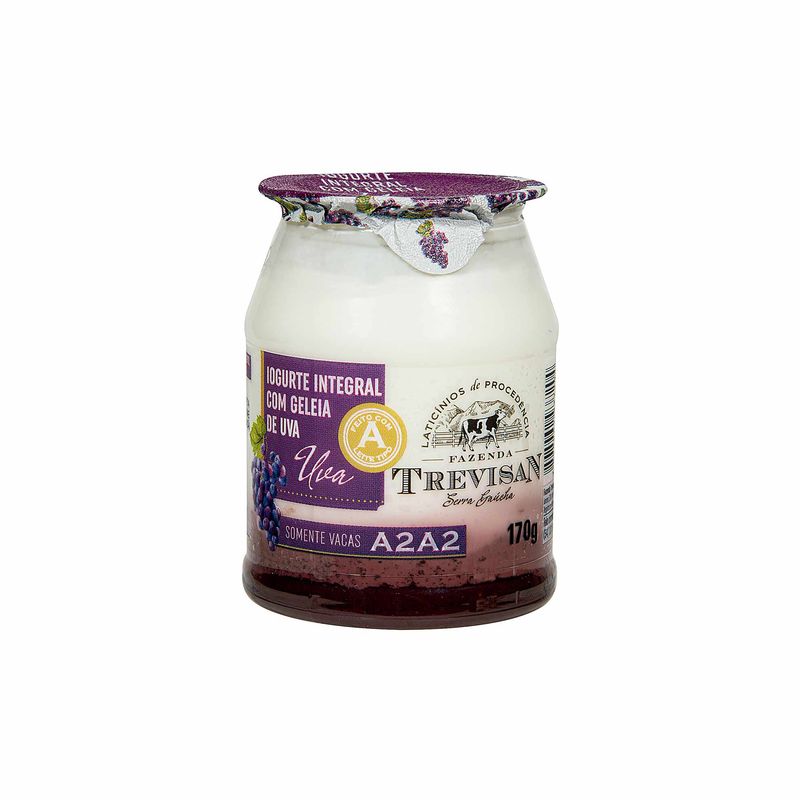 Iogurte-Integral-com-Geleia-de-Uva-sem-Adicao-de-Acucar-Fazenda-Trevisan-170g-Zaffari-00