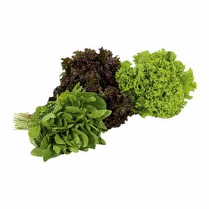 Mix de Folhas Trio Hidropônico