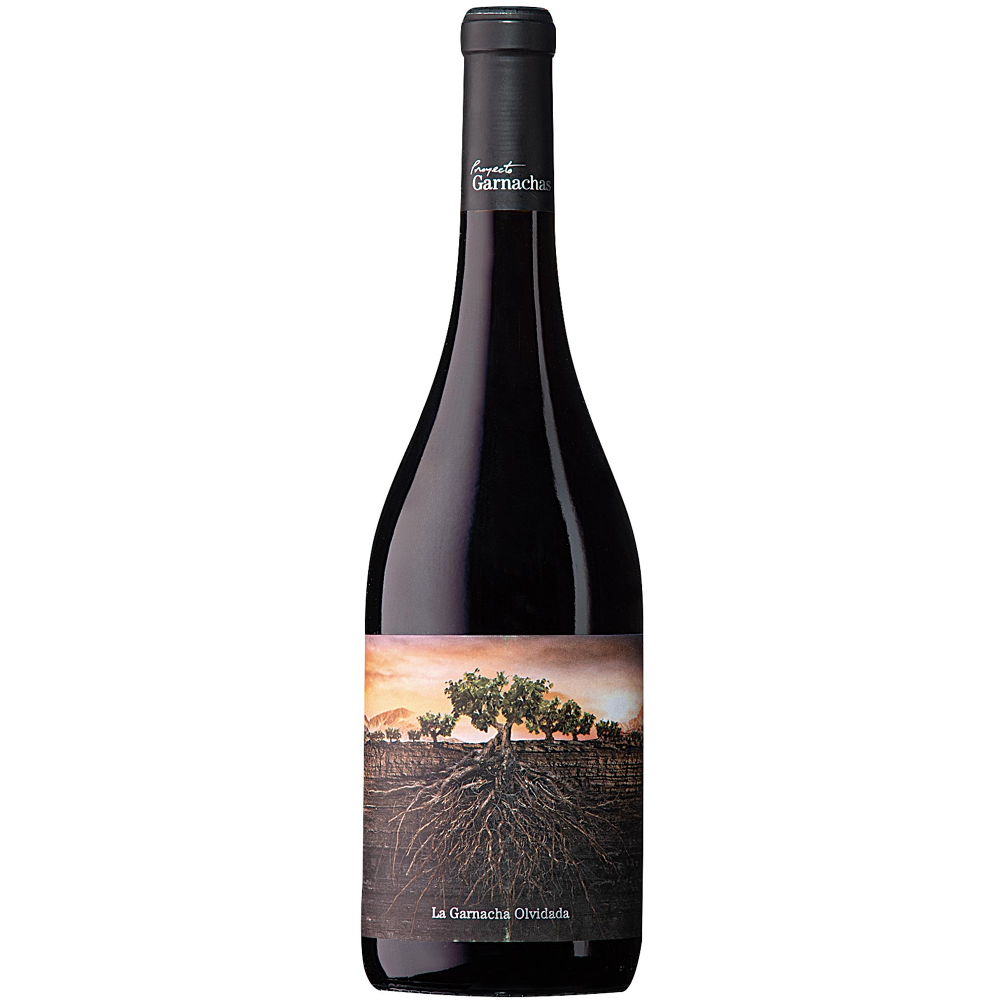 Vinho Tinto Espanhol La Garnacha Olvidada 750ml - Zaffari