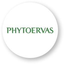 Phytoervas